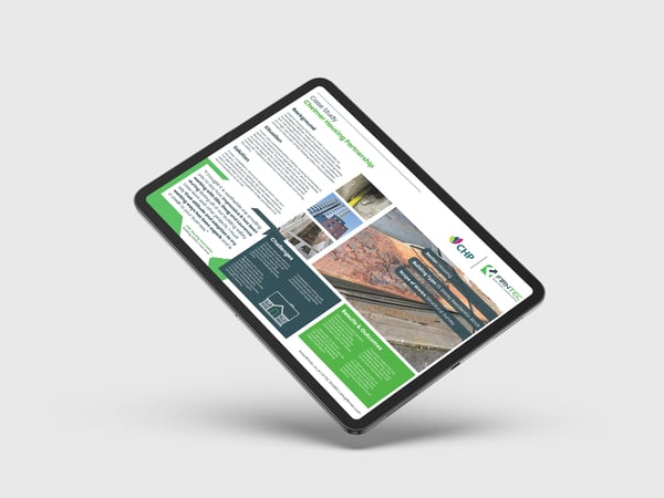 Firntec CHP Case Study Mockup